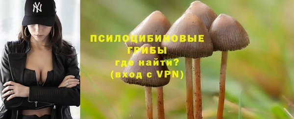2c-b Новозыбков