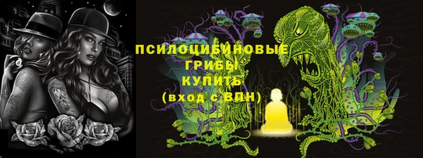 2c-b Новозыбков