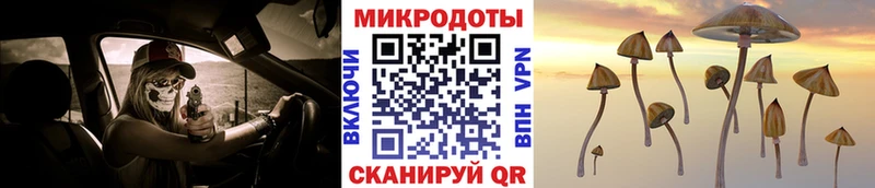 наркошоп Сорск Псилоцибиновые грибы MAGIC MUSHROOMS